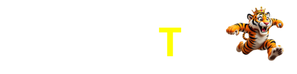 48T